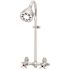 Speakman Commander Sc-1220-1-af Exposed Shower