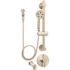 Speakman Slv-1490-ada-bn Neo Diverter Trim Handicap Shower And Tub System