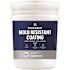 Bioesque 5 Gallon Mold Resistant Coating Clear