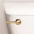 Korky Strongarm Toilet Flush Handle/lever Simple Brushed Gold