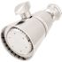 Seasons Maintenance Warehouse Adjustable 1.75 GPM All Metal Showerhead in Chrome