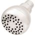 Seasons Anchor Point Chrome Single Function Showerhead 1.5 GPM