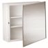 Generic Private Brand 16w X 22" Surface Mount Mirror Medicine Cabinet