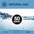 Rheem Performance Platinum 50g Short 12 Year 40000 BTU Natural Gas Tank Heater