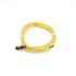 Liebert 30' Leak Detector Cable 176125p3
