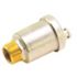 Raypak Vent Valve Air-Kit 011866f