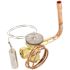 Icp Txv Valve R410a 1193219
