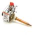 Rheem Liquid Propane Gas Control