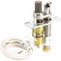 Williams Lp Pilot Assemblyp322399
