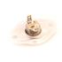 Carrier Limit Switch Hh18ha506
