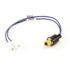 Lennox Low Ambient Pressure Switch Open 150 Close 27579j07