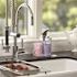 Simplehuman Simplehuman 22oz Square Push Pump Soap Dispenser/sponge Caddy Brushed NICKEL