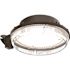 Lithonia Lighting Barnguard Security Light, Switchable Cct Dark Bronze