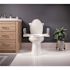 Bemis Standard Height Premium Toilet Seat Plus Support Arms