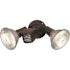 Satco Nuvo Bronze Two-Light 10 Flood Light, Adjustable Swivel And Motion Sensor