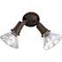 Satco Nuvo Bronze 2-Light 10 Exterior Par38 Flood Light With Adjustable Swivel