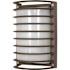 Satco Nuvo Architectural Bronze One-Light 10 Rectangle Cage Die Cast Bulk Head