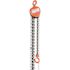 Vestil Manual Chain Hoist 1,000 Pounds Capacity 20 Feet