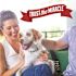 Nature'S Miracle 32 Oz. Dog Stain And Odor Remover Ready-To-use Case Of 4