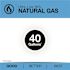 Rheem Performance 40g Tall 38,000 BTU Ultra Low NOx Natural Gas Water Heater