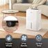 Amana Energy Star 50-Pint Portable Dehumidifier