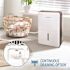 Keystone Keystone 22-Pint Dehumidifier