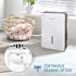 Keystone Keystone 35-Pint Dehumidifier