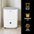 Whirlpool Energy Star 23-Pint Dehumidifier