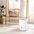 Whirlpool Energy Star 23-Pint Dehumidifier