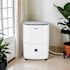 Whirlpool Energy Star 23-Pint Dehumidifier