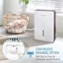 Keystone Keystone 50-Pint Dehumidifier With Built-In Pump