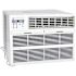 Arctic Wind Arctic Wind 10,000 BTU Through The Wall Air Conditioner With Remote Control