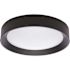 Satco Selene 13" LED Fixture, Flush Mount, Dimmable, Cct Selectable, Black
