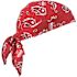 Ergodyne 6710 Red Western Cooling Bandana Triangle Hat Polymers Tie Case Of 24