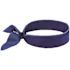 Ergodyne 6702 Solid Blue Cooling Bandana Embedded Polymers Tie Top Case Of 12