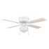 Private Brand Unbranded Altona 42" Hugger Ceiling Fan, White