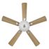 Seasons Tarisa 44" Brushed Nickel Indoor Ceiling Fan With Light and Reversible Maple/Walnut Blades (5-Blade)