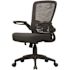 Boss Office Products Deluxe Mesh Back Ergronomic Task Chair Black Frame/fabric