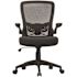 Boss Office Products Deluxe Mesh Back Ergronomic Task Chair Black Frame/fabric