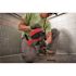 Milwaukee 25' Hand Auger