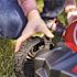 Toro 21" Recycler 140 Cc Gas High-Wheel Walk Behind Push Lawn Mower