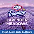 Clorox Fraganzia Multi-Purpose Cleaner Lavender Meadows Scent 175 Oz Case Of 3