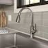 Elkay Dayton Stainless Steel 33x22x8-1/16" 1-Hole Single Bowl Drop Chrome Faucet