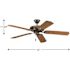 Progress Lighting P2502-20 Airpro 52 In 5-Blade Indoor/Outdoor Ceiling Fan (Antique Bronze)
