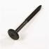 Electrolux Screw For Range Part #316001009