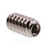 Generic Socket Set Screws, #6 , Ss, Package Of 25