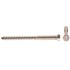 Generic Helag Screws, 5 In., Ss, Package Of 10