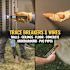Klein Tools Advanced Circuit Tracer Kit