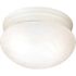 Satco Textured White Two-Light 10 Flush Mount