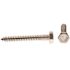 Generic 1/4" X 2" Hex Lag Screws, Stainless Steel, Package Of 25